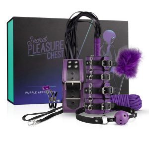 Secret Pleasure Chest X Bedroom fantasies - Purple Apprentice